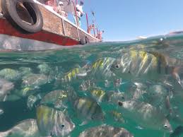 ANGRA DOS REIS