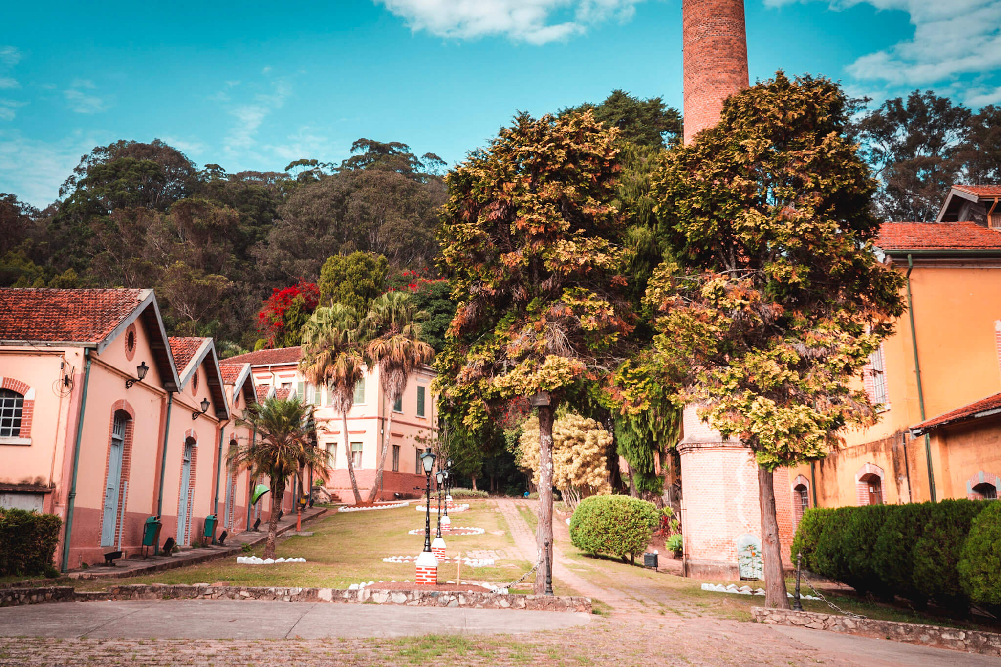 ROTA DOS VINHOS - SAO ROQUE