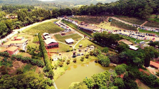 ROTA DOS VINHOS - SAO ROQUE