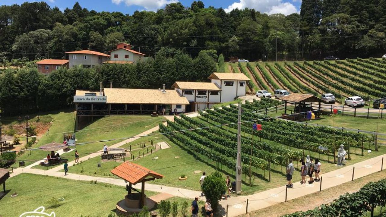 ROTA DOS VINHOS - SAO ROQUE